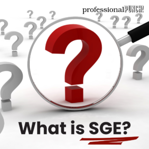 Magnifying glass pointing at question mark. What is SGE?