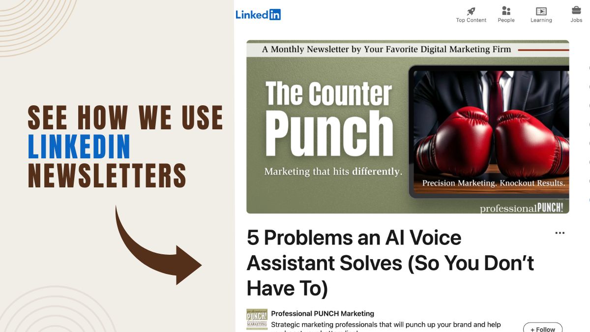 How Professional Punch uses LinkedIn Newsletters